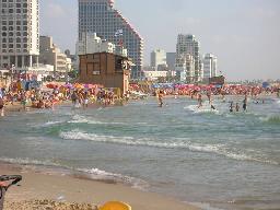 Tel Aviv Hotels