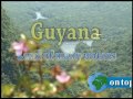 Guyana++Land+of+many+waters