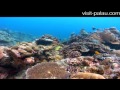 Palau+by+Reisefernsehencom++Reisevideo++travel+video