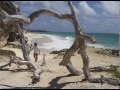 Barbados+tourism+Caribbean+Island+Travel+Video+by+Malcolm+Dent+of+MDDM