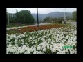 TOURISM+PAKISTAN++TRAVEL+TRIP++ISLAMABAD+2012+2013